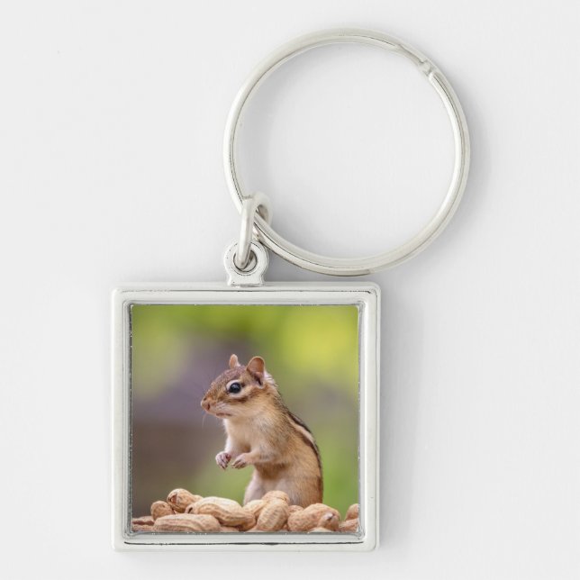 Chipmunk with peanuts keychain (Front)