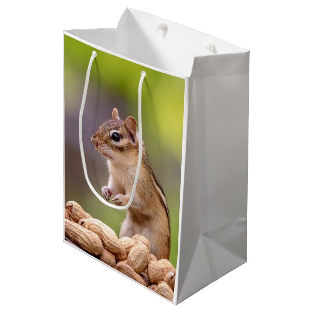 Chipmunk with peanuts medium gift bag (Front Angled)