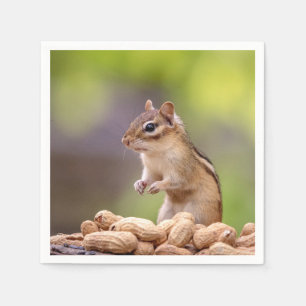Chipmunk with peanuts napkins