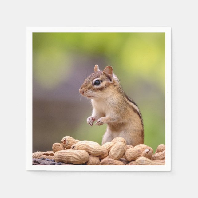 Chipmunk with peanuts napkins (Front)