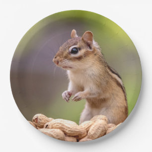 Chipmunk with peanuts paper plates