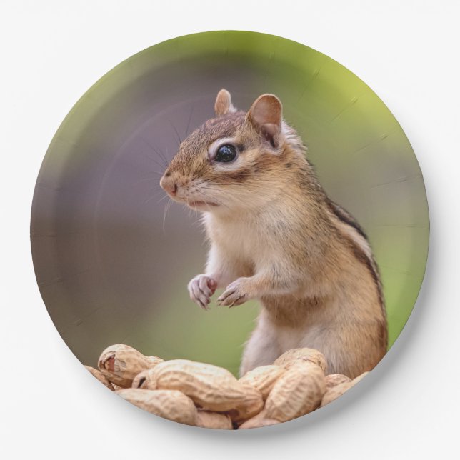 Chipmunk with peanuts paper plates (Front)