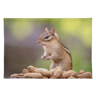 Chipmunk with peanuts placemat