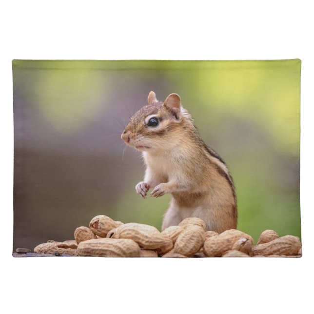 Chipmunk with peanuts placemat (Front)