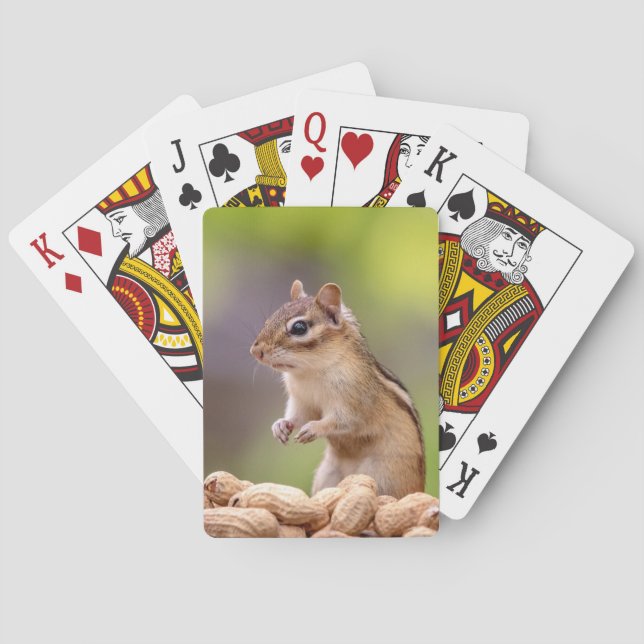 Chipmunk with peanuts poker cards (Back)
