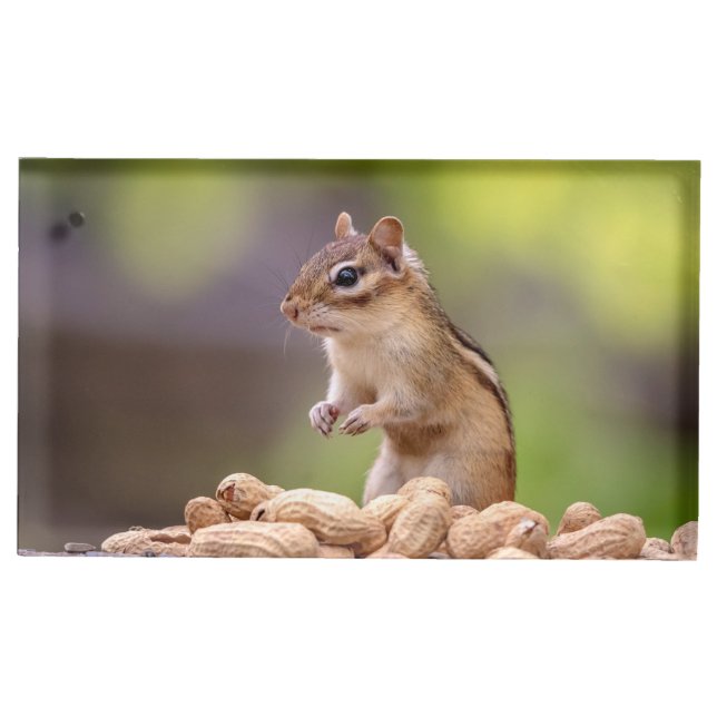 Chipmunk with peanuts table card holder (Front)