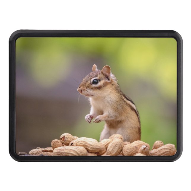 Chipmunk with peanuts trailer hitch cover (Front)