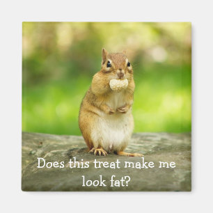 Chipmunk with treat magnet