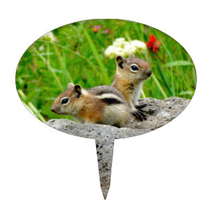 Chipmunks and wildflowers cake topper