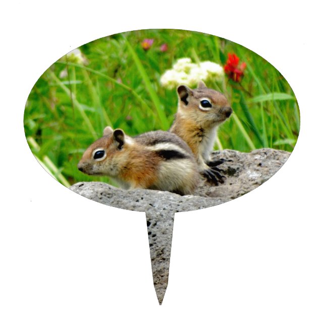 Chipmunks and wildflowers cake topper (Front)