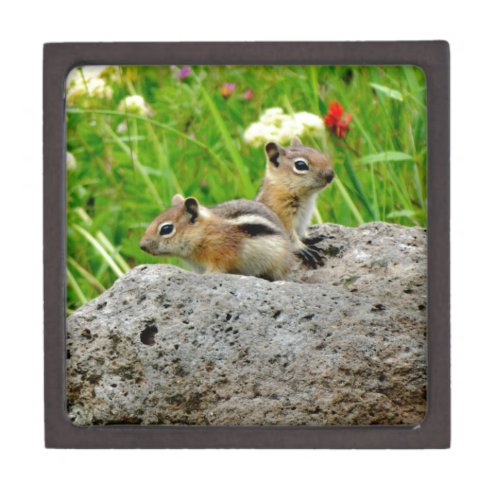 Chipmunks and wildflowers gift box