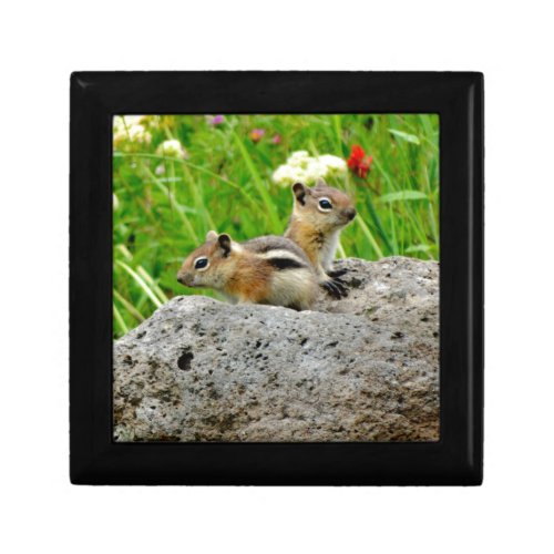 Chipmunks and wildflowers gift box