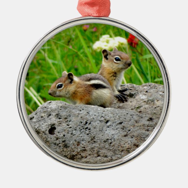 Chipmunks and wildflowers metal ornament (Front)