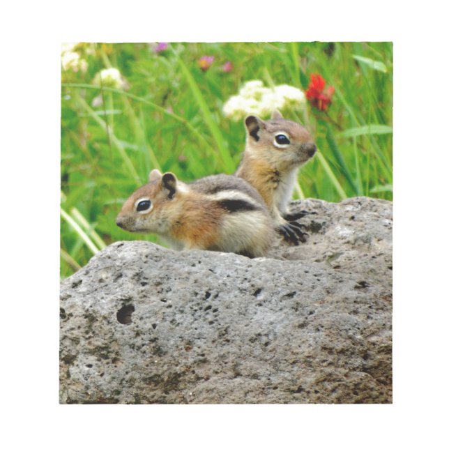 Chipmunks and wildflowers notepad (Front)