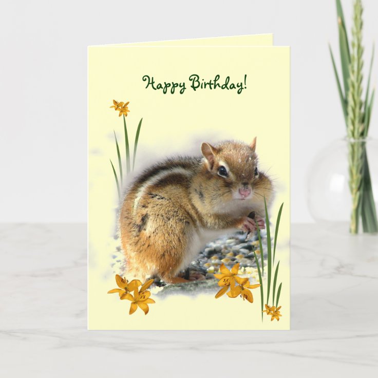 Chipmunk's Birthday Card | Zazzle