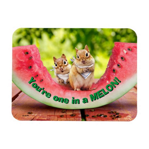 Chipmunks Eating Watermelon Magnet