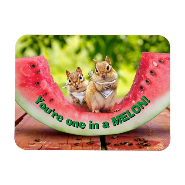 Chipmunks Eating Watermelon Magnet (Horizontal)