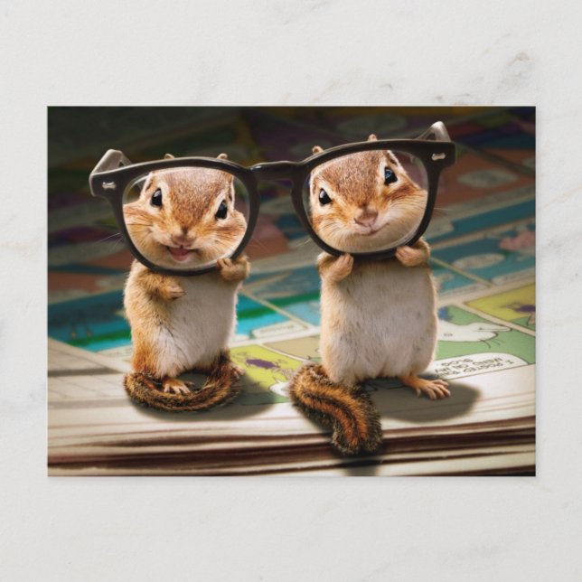 Chipmunks in Reading Glasses Invitation Postcard (Front)