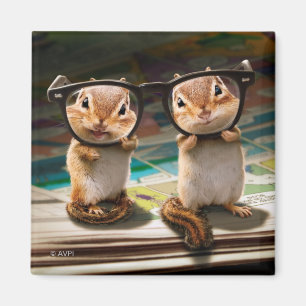 Chipmunks in Reading Glasses Magnet