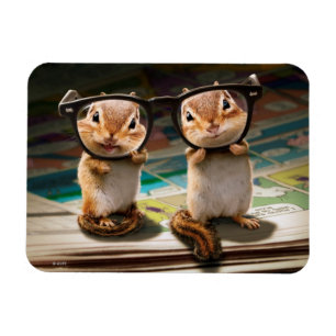 Chipmunks in Reading Glasses Magnet