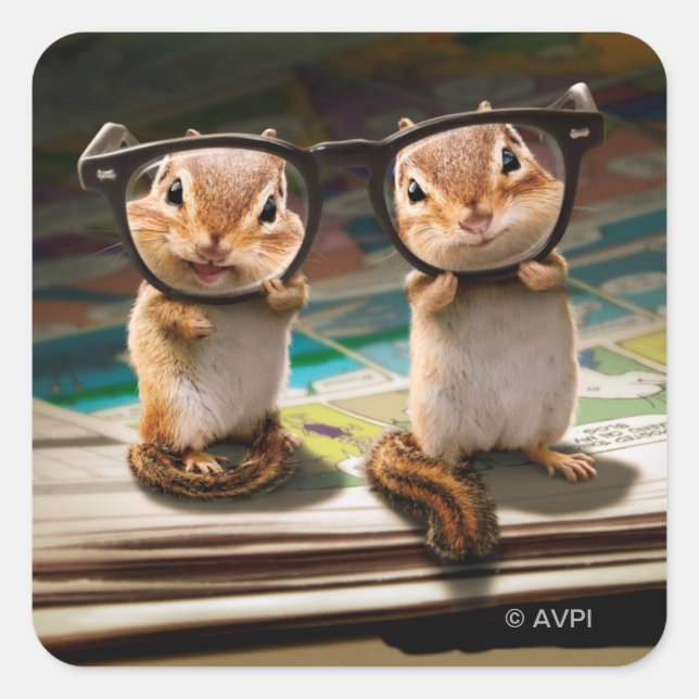 Chipmunks in Reading Glasses Square Sticker (Front)