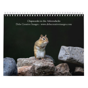 Chipmunks in the Adirondacks 2026 Calendar