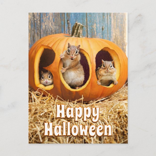 Chipmunks Inside Boo Jack-o-Lantern Invitation Postcard (Front)