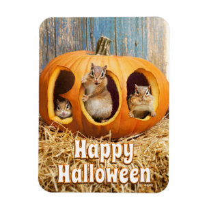 Chipmunks Inside Boo Jack-o-Lantern Magnet
