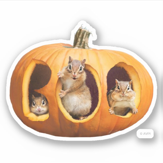 Chipmunks Inside Boo Jack-o-Lantern Sticker (Front)