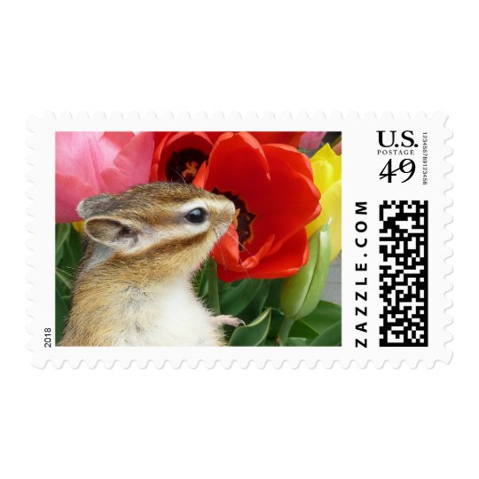 chipmunk's stamp
