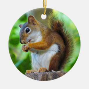 Chipper Red Squirrel Ceramic Ornament