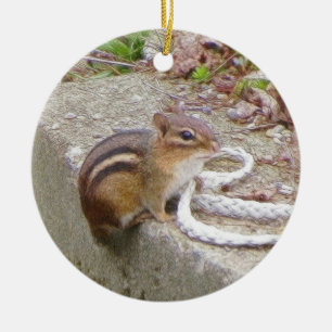 Chippie The Chipmunk Investigates A Rope Ceramic Ornament