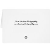 Chipping Sparrow Cards (Back Horizontal)
