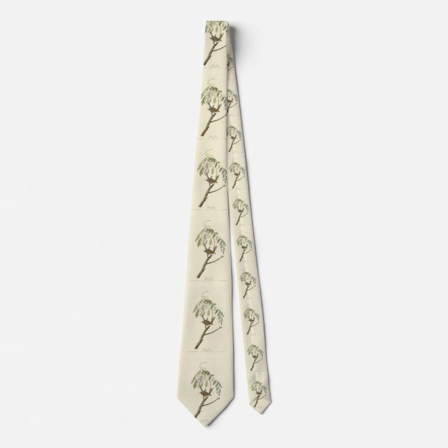 Chipping Sparrow from Audubon's Birds of America Neck Tie (Front)