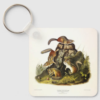 Chipping Squirrel ( Eastern Chipmunk ) by Audubon Keychain