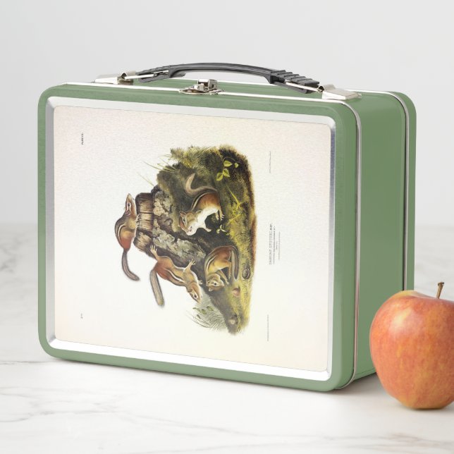 Chipping Squirrel ( Eastern Chipmunk ) by Audubon Metal Lunch Box (In Situ)