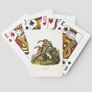 Chipping Squirrel ( Eastern Chipmunk ) by Audubon Poker Cards