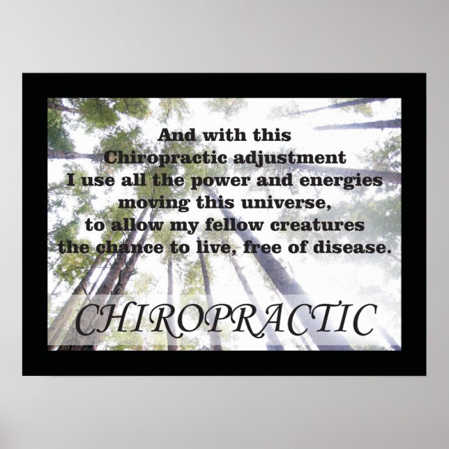 Chiropractic Adjustments Quotes Sayings Poster (Front)
