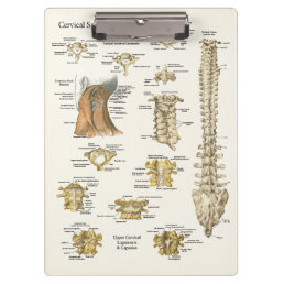 Chiropractic Cervical Spine Anatomy Clipboard