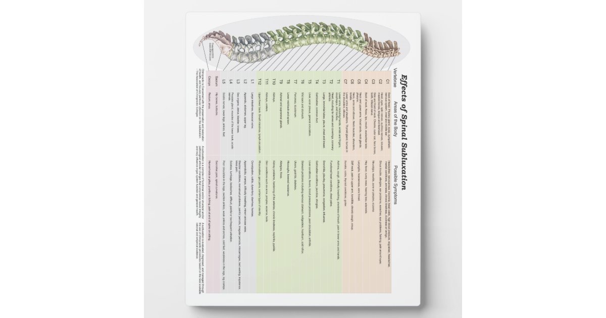 Chiropractic Effects of Spinal Subluxation Easel Plaque | Zazzle