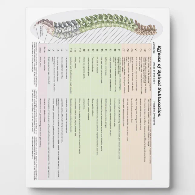 Chiropractic Effects of Spinal Subluxation Easel Plaque | Zazzle