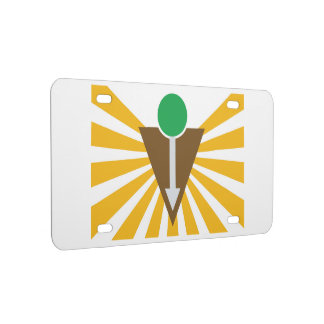 Chiropractic Flag License Plate