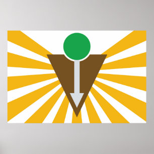 Chiropractic Flag Poster