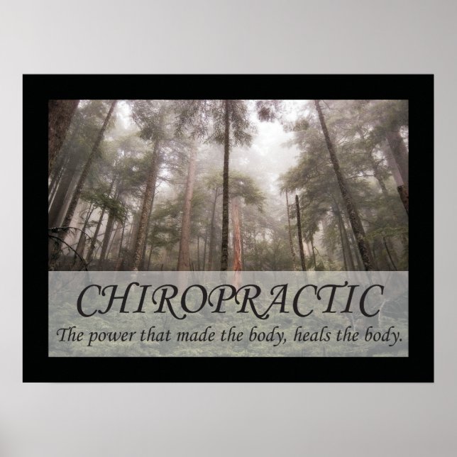 Chiropractic Heals the Body Quotes Sayings Poster (Front)