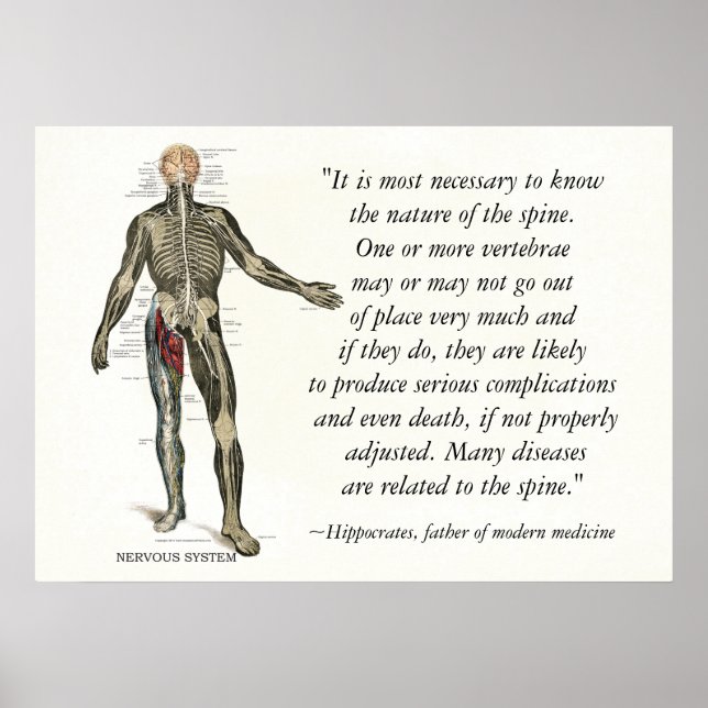 Chiropractic Health Quotes & Sayings Poster (Front)