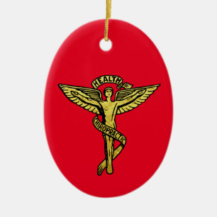 Chiropractic Medical Symbol Christmas Ornament