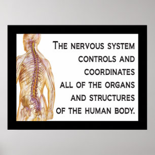 Chiropractic Nerves Quote Poster Customize