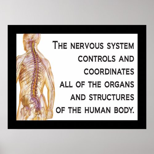 Chiropractic Nerves Quote Poster Customize