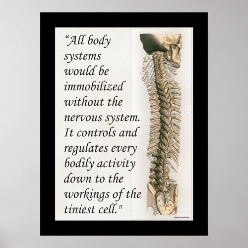 Chiropractic Quote Nervous System Poster Customize