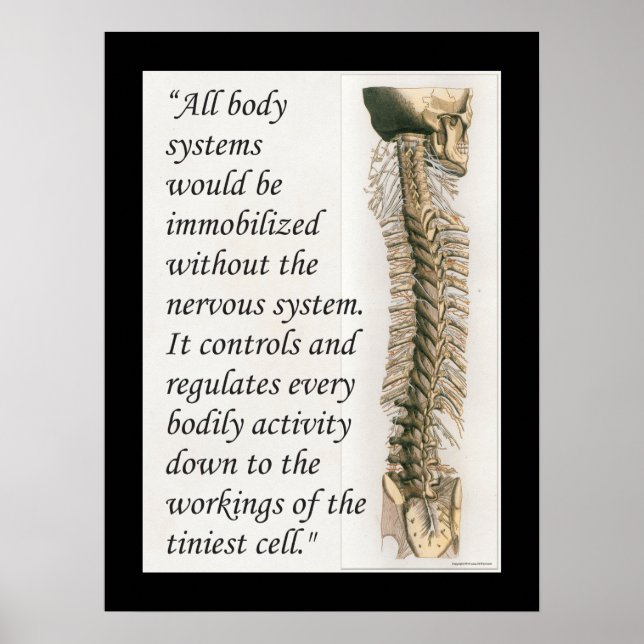 Chiropractic Quote Nervous System Poster Customize (Front)